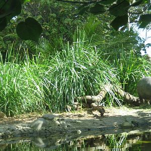 Melbourne Zoo October 2009