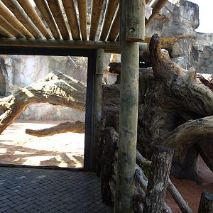 Kitum cave pre-opening