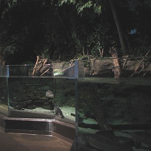 Ohio Riverbank - River Exhibit