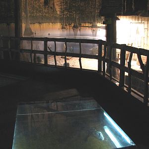 Gator Bayou - Bridge