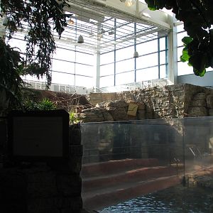 Hidden Treasures Rainforest - Atrium