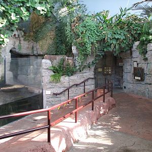 Hidden Treasures Rainforest - Asian Otter Exhibit