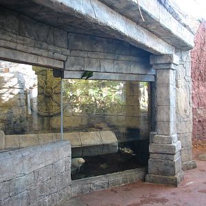 Hidden Treasures Rainforest - Lorikeet Aviary and Python Exhibit