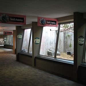 Primate, Cat, and Aquatics Building