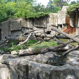 Northern Trek - Black Bear Exhibit