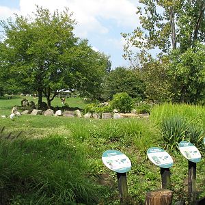 African Savanna - Bontebok Exhibit