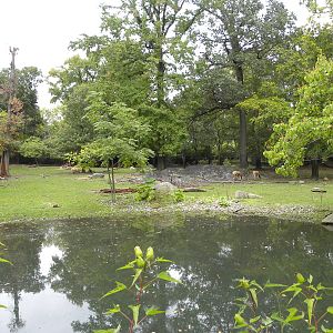 Very good deer exhibit