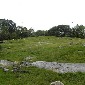Gelada/Ibex/Hyrax Exhibit