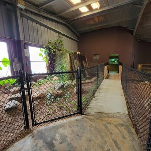 Reptile Lagoon, SOTB - Turtle room exit