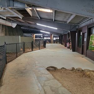 Reptile Lagoon, SOTB - Path, big snakes ahead on right