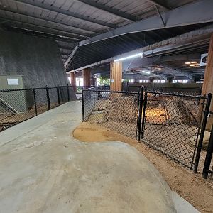 Reptile Lagoon, SOTB - Path