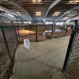 Reptile Lagoon, SOTB - Path, nile and nile x cuban pond again