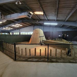 Reptile Lagoon, SOTB - Tortoises