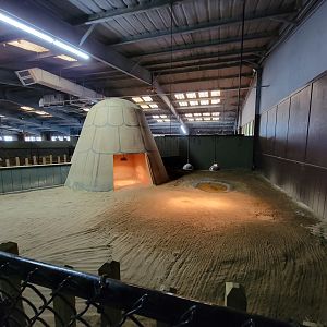 Reptile Lagoon, SOTB - Sulcata tortoise