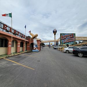 Reptile Lagoon, SOTB - Facing north