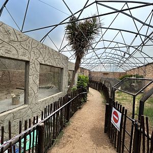 Construction on New West African Dwarf Crocodile Enclosure (Osteolaemus tetraspis)