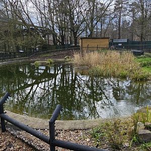 European otter enclosure
