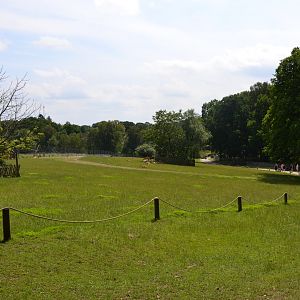 Walk-thorugh enclosure for fallow deer at Skånes djurpark