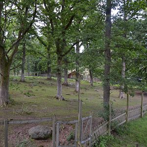 Reindeer enclosure at Skånes djurpark
