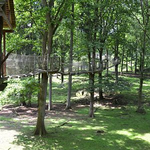 Expedition upp at Skånes djurpark