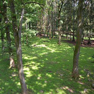 Enclosure for red deer at Skånes djurpark