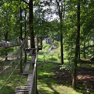 Expedition upp at Skånes djurpark