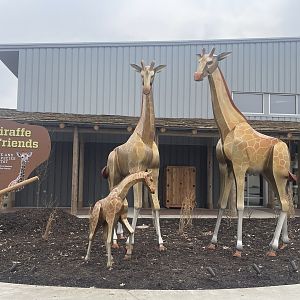 Giraffe and Friends - Statue