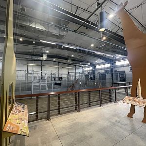 Giraffe and Friends - Barn Interior