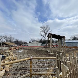 Giraffe and Friends - Outdoor Yard