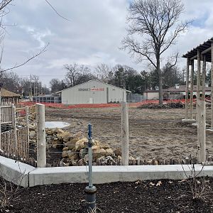 Giraffe and Friends - Outdoor Yard