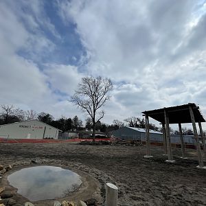 Giraffe and Friends - Outdoor Yard