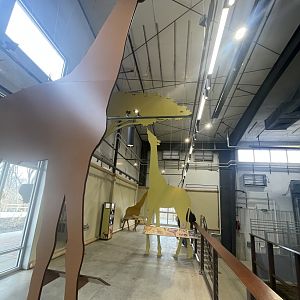 Giraffe and Friends - Barn Interior