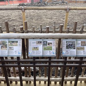 Giraffe and Friends - Signage