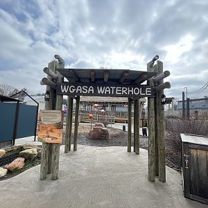 Camp Cowabunga - General View