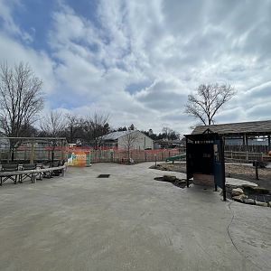 Camp Cowabunga - General View