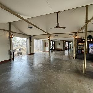 Camp Cowabunga - Tent Interior