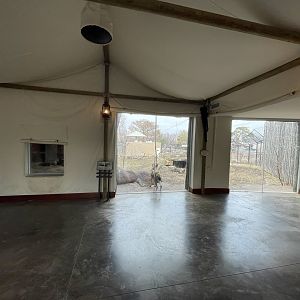 Camp Cowabunga - Painted Dog Viewing