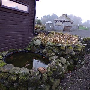 Pond outside education room