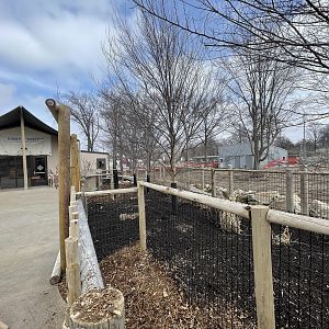 Camp Cowabunga - Cape Porcupine Outdoor Exhibit