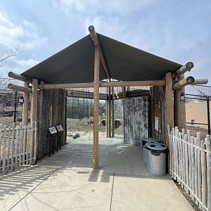 Camp Cowabunga - Painted Dog Outdoor Viewing