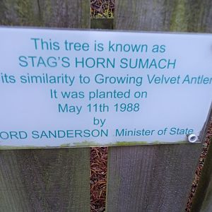 Information about sculpture