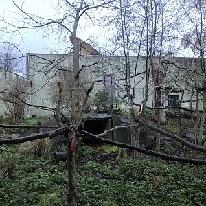 Red panda temporary enclosure