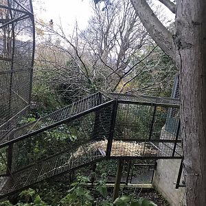 Drill access tunnel to former aviary