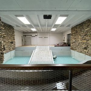 Animals and Man Building - Hippo Exhibit