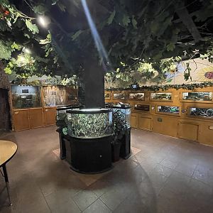 Animals and Man Building - Bug Zoo