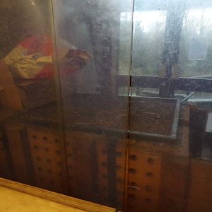 Pygmy hippo training crate