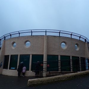 View of penguin underwater viewing area