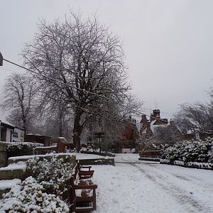 View of the zoo in snow