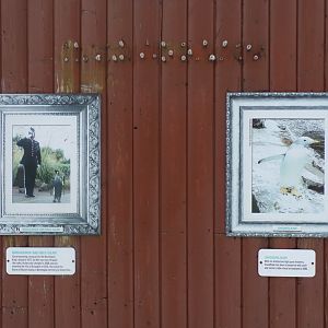 Penguin hall of fame