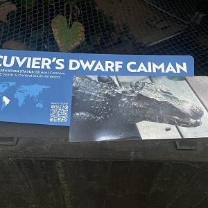 Tropical Rainforest - Signage Example